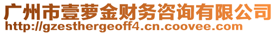 廣州市壹蘿金財務咨詢有限公司