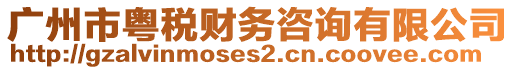 廣州市粵稅財務咨詢有限公司