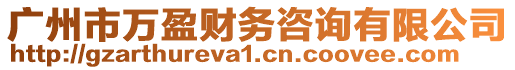 廣州市萬盈財務咨詢有限公司