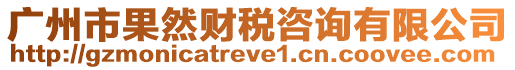 廣州市果然財稅咨詢有限公司