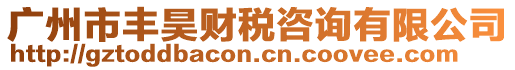 廣州市豐昊財稅咨詢有限公司