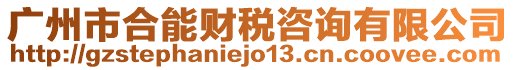 廣州市合能財(cái)稅咨詢有限公司