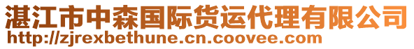 湛江市中森國際貨運(yùn)代理有限公司