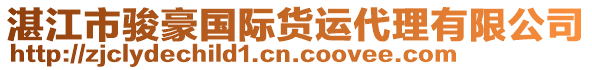 湛江市駿豪國際貨運(yùn)代理有限公司