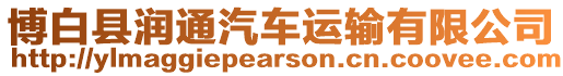 博白縣潤通汽車運輸有限公司