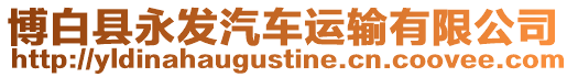 博白縣永發汽車運輸有限公司
