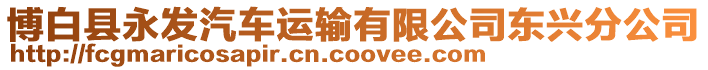 博白縣永發汽車運輸有限公司東興分公司