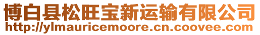 博白縣松旺寶新運輸有限公司
