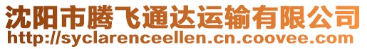沈陽市騰飛通達運輸有限公司