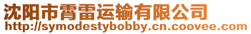 沈陽市霄雷運(yùn)輸有限公司
