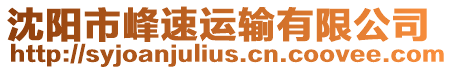 沈陽市峰速運輸有限公司