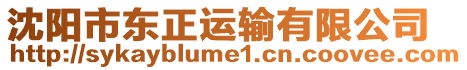 沈陽市東正運輸有限公司