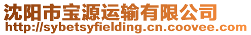 沈陽市寶源運輸有限公司