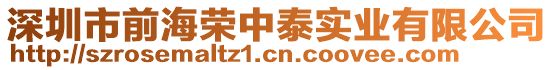 深圳市前海榮中泰實業有限公司