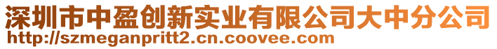 深圳市中盈創新實業有限公司大中分公司