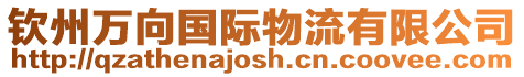 欽州萬向國際物流有限公司