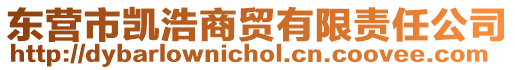 東營市凱浩商貿(mào)有限責(zé)任公司