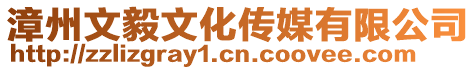 漳州文毅文化傳媒有限公司