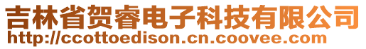 吉林省賀睿電子科技有限公司