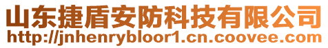 山東捷盾安防科技有限公司