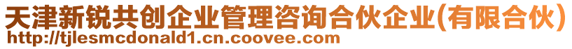 天津新銳共創(chuàng)企業(yè)管理咨詢合伙企業(yè)(有限合伙)