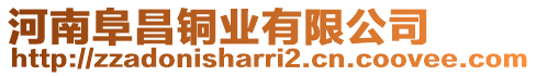 河南阜昌銅業(yè)有限公司