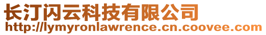 長汀閃云科技有限公司