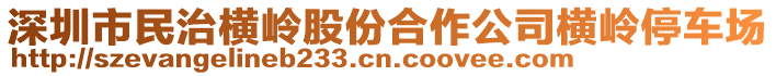 深圳市民治橫嶺股份合作公司橫嶺停車場