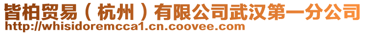 皆柏貿易(杭州)有限公司武漢第一分公司