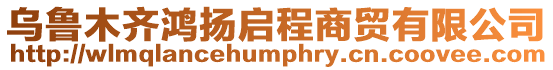 烏魯木齊鴻揚(yáng)啟程商貿(mào)有限公司