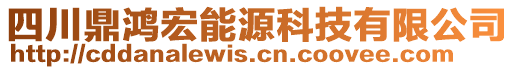 四川鼎鴻宏能源科技有限公司