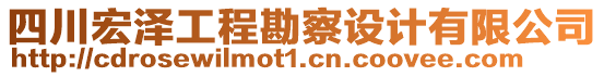 四川宏澤工程勘察設(shè)計(jì)有限公司