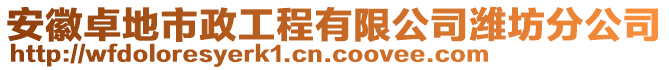 安徽卓地市政工程有限公司濰坊分公司