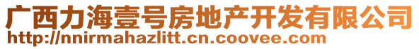 廣西力海壹號房地產(chǎn)開發(fā)有限公司