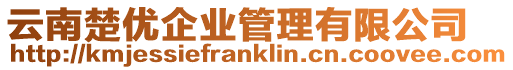 云南楚優(yōu)企業(yè)管理有限公司