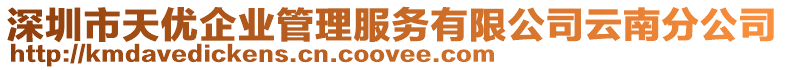 深圳市天優(yōu)企業(yè)管理服務(wù)有限公司云南分公司
