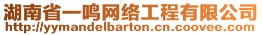 湖南省一鳴網(wǎng)絡(luò)工程有限公司