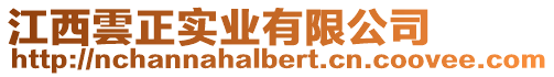 江西雲(yún)正實(shí)業(yè)有限公司