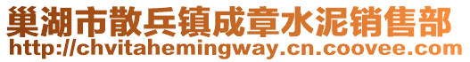 巢湖市散兵鎮(zhèn)成章水泥銷售部