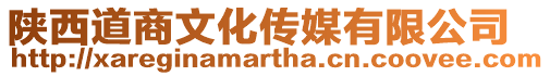 陜西道商文化傳媒有限公司