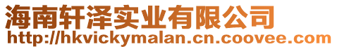 海南軒澤實業(yè)有限公司