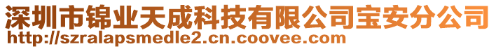 深圳市錦業(yè)天成科技有限公司寶安分公司