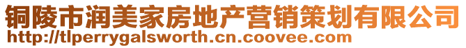 銅陵市潤(rùn)美家房地產(chǎn)營(yíng)銷策劃有限公司