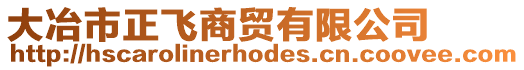 大冶市正飛商貿(mào)有限公司