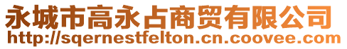 永城市高永占商貿(mào)有限公司