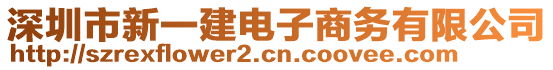 深圳市新一建電子商務有限公司