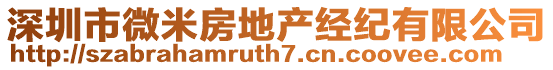 深圳市微米房地產經紀有限公司