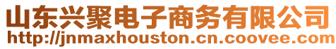 山東興聚電子商務有限公司
