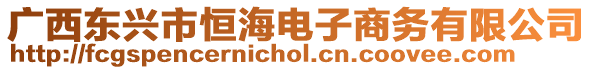 廣西東興市恒海電子商務有限公司