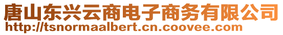 唐山東興云商電子商務(wù)有限公司